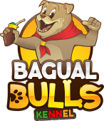 Canil Bagual Bulls